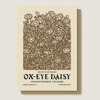 Genealityart Ox-Eye Daisy Card